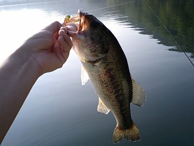 プロショップオオツカ バスフィッシング用品ネット通信販売 ブログ写真 2011/06/15