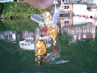 プロショップオオツカ バスフィッシング用品ネット通信販売 ブログ写真 2011/06/15