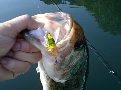 プロショップオオツカ バスフィッシング用品ネット通信販売 ブログ写真 2011/06/15