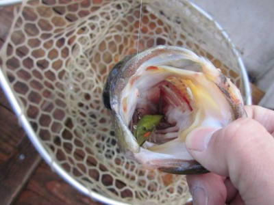 プロショップオオツカ バスフィッシング用品ネット通信販売 ブログ写真 2011/06/16