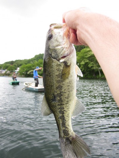 プロショップオオツカ バスフィッシング用品ネット通信販売 ブログ写真 2011/06/16