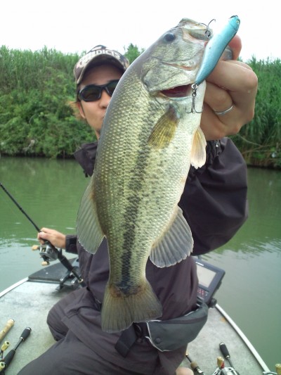 プロショップオオツカ バスフィッシング用品ネット通信販売 ブログ写真 2011/06/16