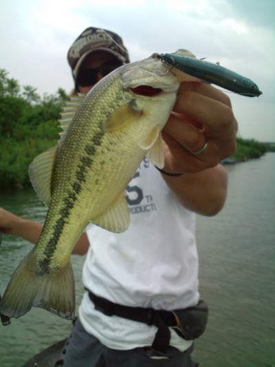 プロショップオオツカ バスフィッシング用品ネット通信販売 ブログ写真 2011/06/16