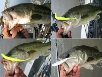 プロショップオオツカ バスフィッシング用品ネット通信販売 ブログ写真 2011/06/23