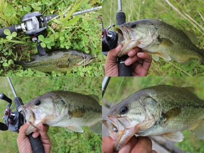 プロショップオオツカ バスフィッシング用品ネット通信販売 ブログ写真 2011/06/23