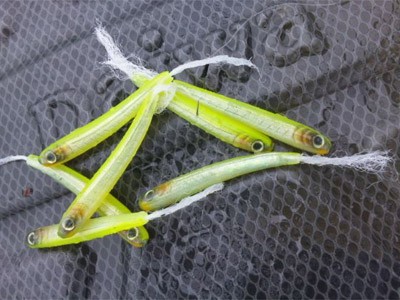 プロショップオオツカ バスフィッシング用品ネット通信販売 ブログ写真 2011/06/23