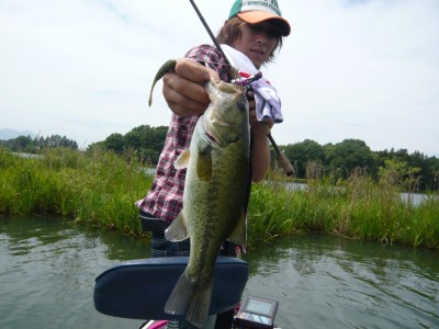 プロショップオオツカ バスフィッシング用品ネット通信販売 ブログ写真 2011/06/26