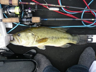 プロショップオオツカ バスフィッシング用品ネット通信販売 ブログ写真 2011/06/26