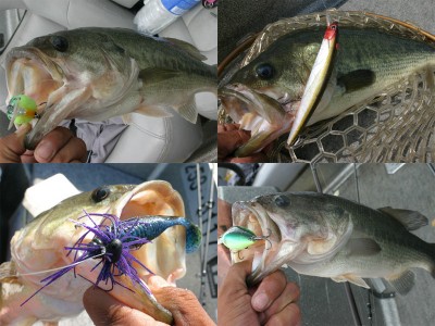 プロショップオオツカ バスフィッシング用品ネット通信販売 ブログ写真 2011/07/20