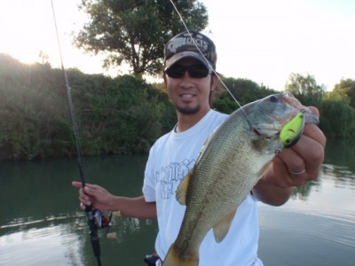 プロショップオオツカ バスフィッシング用品ネット通信販売 ブログ写真 2011/07/24