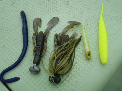 プロショップオオツカ バスフィッシング用品ネット通信販売 ブログ写真 2011/07/29