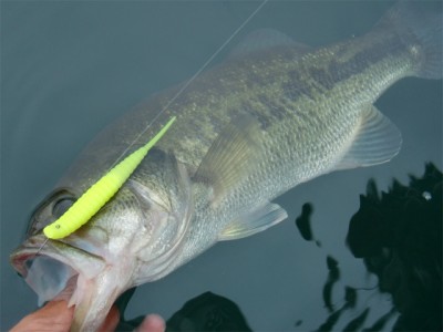 プロショップオオツカ バスフィッシング用品ネット通信販売 ブログ写真 2011/07/29