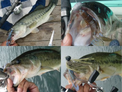 プロショップオオツカ バスフィッシング用品ネット通信販売 ブログ写真 2011/07/29