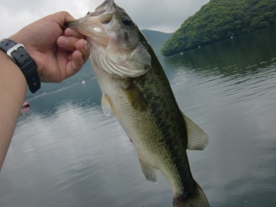 プロショップオオツカ バスフィッシング用品ネット通信販売 ブログ写真 2011/07/29