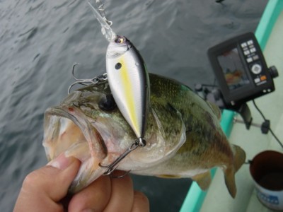 プロショップオオツカ バスフィッシング用品ネット通信販売 ブログ写真 2011/07/29