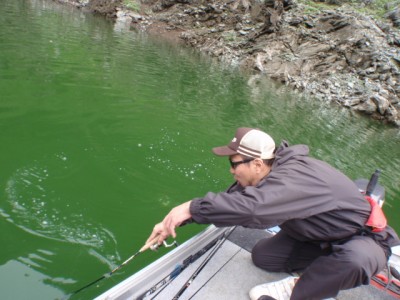 プロショップオオツカ バスフィッシング用品ネット通信販売 ブログ写真 2011/08/03