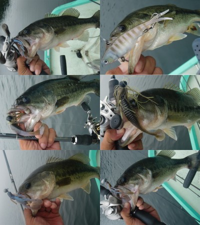 プロショップオオツカ バスフィッシング用品ネット通信販売 ブログ写真 2011/08/03