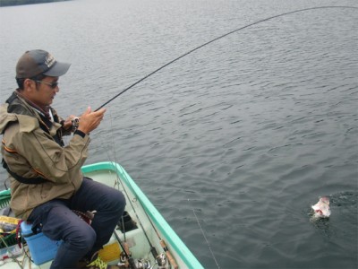 プロショップオオツカ バスフィッシング用品ネット通信販売 ブログ写真 2011/08/03