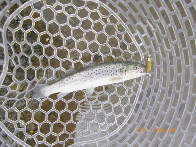 プロショップオオツカ バスフィッシング用品ネット通信販売 ブログ写真 2011/08/03