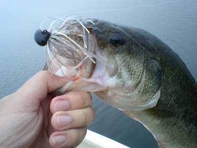 プロショップオオツカ バスフィッシング用品ネット通信販売 ブログ写真 2011/08/04