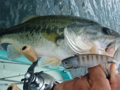 プロショップオオツカ バスフィッシング用品ネット通信販売 ブログ写真 2011/08/09