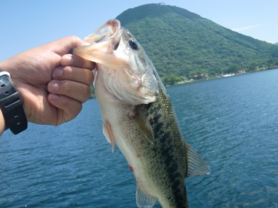 プロショップオオツカ バスフィッシング用品ネット通信販売 ブログ写真 2011/08/14