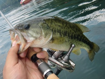 プロショップオオツカ バスフィッシング用品ネット通信販売 ブログ写真 2011/08/14