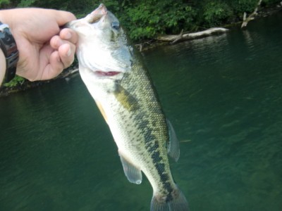 プロショップオオツカ バスフィッシング用品ネット通信販売 ブログ写真 2011/08/14