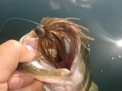 プロショップオオツカ バスフィッシング用品ネット通信販売 ブログ写真 2011/08/14