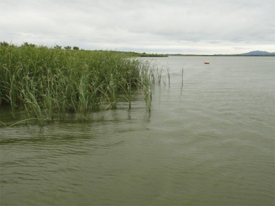 プロショップオオツカ バスフィッシング用品ネット通信販売 ブログ写真 2011/08/24