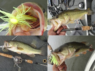 プロショップオオツカ バスフィッシング用品ネット通信販売 ブログ写真 2011/08/24