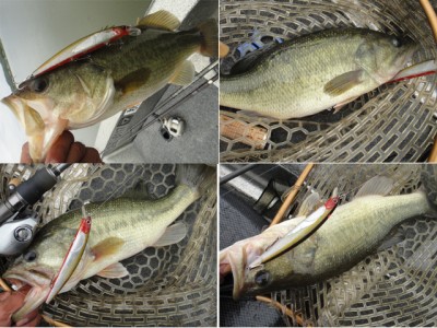 プロショップオオツカ バスフィッシング用品ネット通信販売 ブログ写真 2011/08/24