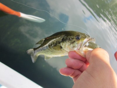 プロショップオオツカ バスフィッシング用品ネット通信販売 ブログ写真 2011/09/01