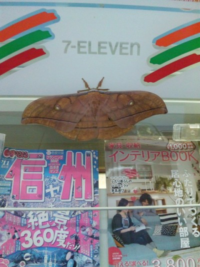 プロショップオオツカ バスフィッシング用品ネット通信販売 ブログ写真 2011/09/11