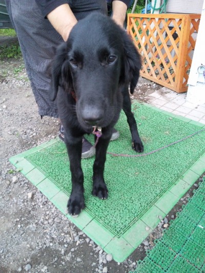 プロショップオオツカ バスフィッシング用品ネット通信販売 ブログ写真 2011/09/11