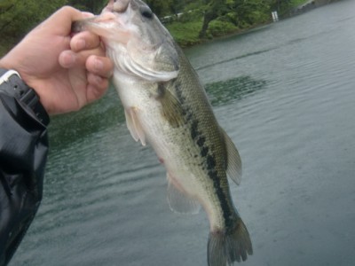 プロショップオオツカ バスフィッシング用品ネット通信販売 ブログ写真 2011/09/23