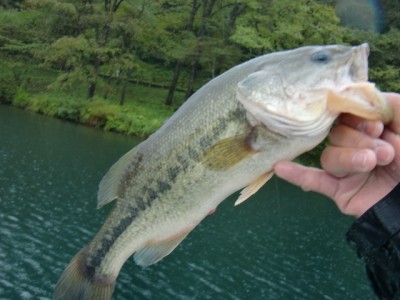 プロショップオオツカ バスフィッシング用品ネット通信販売 ブログ写真 2011/09/23