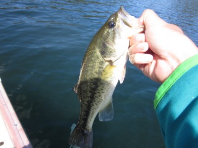 プロショップオオツカ バスフィッシング用品ネット通信販売 ブログ写真 2011/10/06