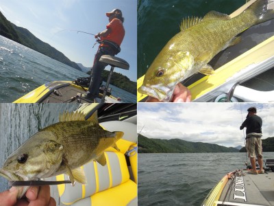 プロショップオオツカ バスフィッシング用品ネット通信販売 ブログ写真 2011/10/20