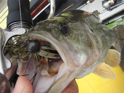 プロショップオオツカ バスフィッシング用品ネット通信販売 ブログ写真 2011/10/20