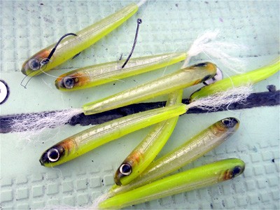 プロショップオオツカ バスフィッシング用品ネット通信販売 ブログ写真 2011/10/20