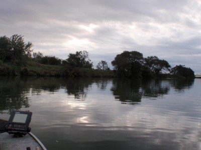 プロショップオオツカ バスフィッシング用品ネット通信販売 ブログ写真 2011/11/09