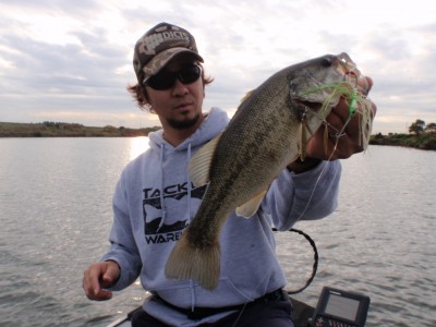 プロショップオオツカ バスフィッシング用品ネット通信販売 ブログ写真 2011/11/09