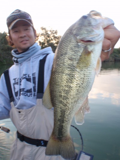 プロショップオオツカ バスフィッシング用品ネット通信販売 ブログ写真 2011/11/16