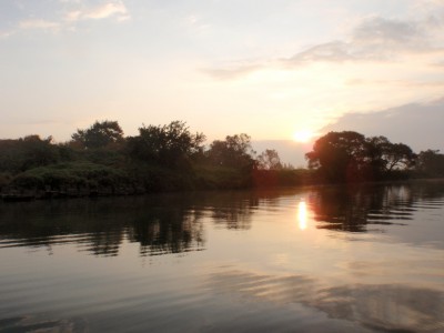 プロショップオオツカ バスフィッシング用品ネット通信販売 ブログ写真 2011/11/16