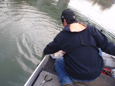 プロショップオオツカ バスフィッシング用品ネット通信販売 ブログ写真 2011/11/16