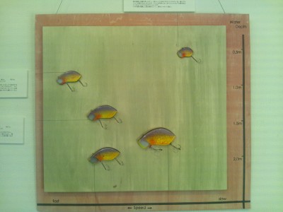 プロショップオオツカ バスフィッシング用品ネット通信販売 ブログ写真 2012/02/12