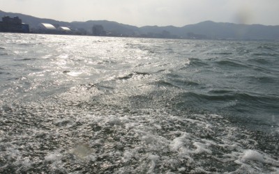 プロショップオオツカ バスフィッシング用品ネット通信販売 ブログ写真 2012/03/31