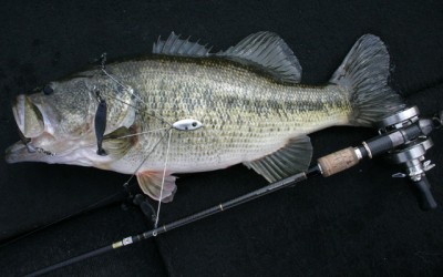 プロショップオオツカ バスフィッシング用品ネット通信販売 ブログ写真 2012/03/31