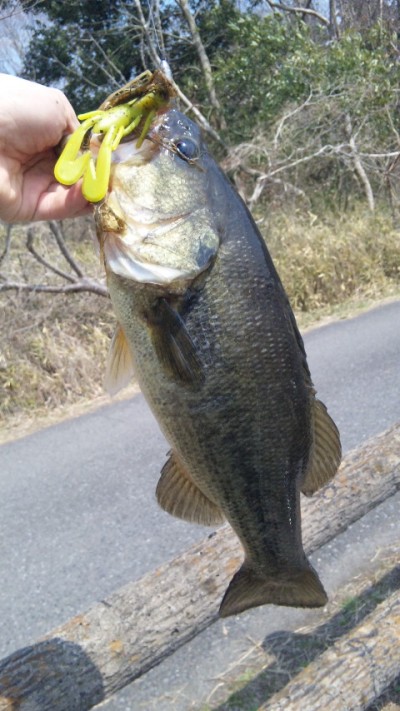 プロショップオオツカ バスフィッシング用品ネット通信販売 ブログ写真 2012/03/31